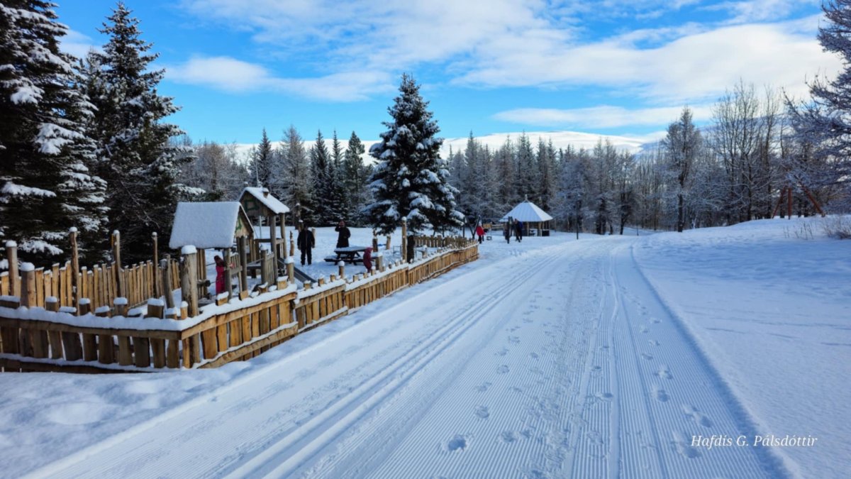 Hittingur í Kjarnaskógi 25. janúar